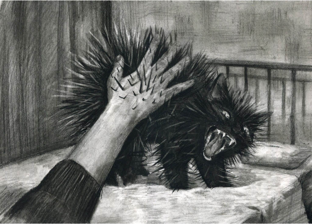 A cat reacts to human touch with a snarl and spiky fur that pierces the person's hand.