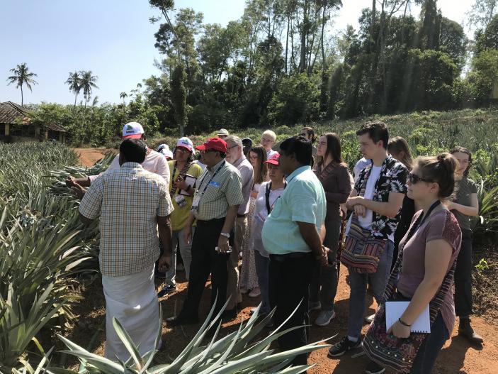 IARD 2020 Students on pineapple farm, Kerala, India