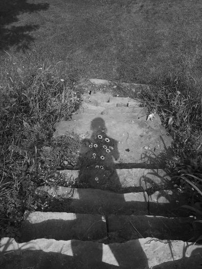 A black and white photograph of a silhouette. 