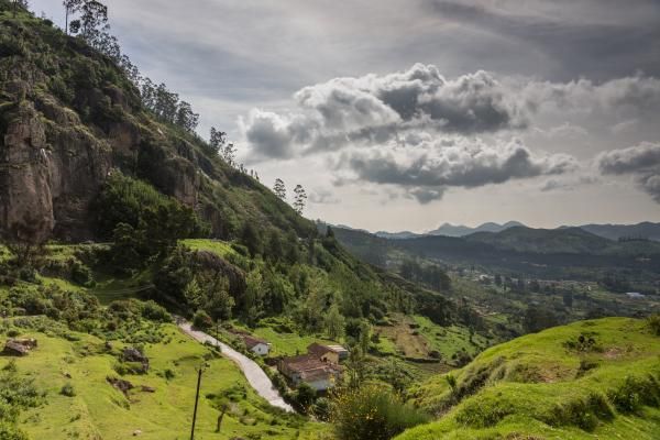 Nilgiris landscape