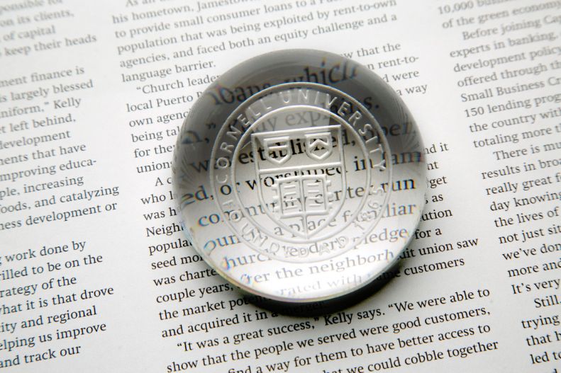 Cornell Seal Paperweight