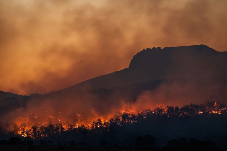 Silhouette of trees during bushfires in Tasmania, Australia