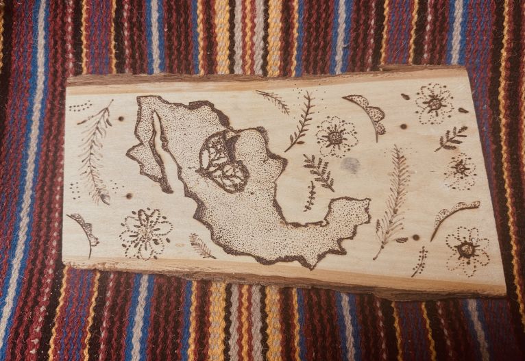 Wood carving of Latin America surrounded by plants and flowers.