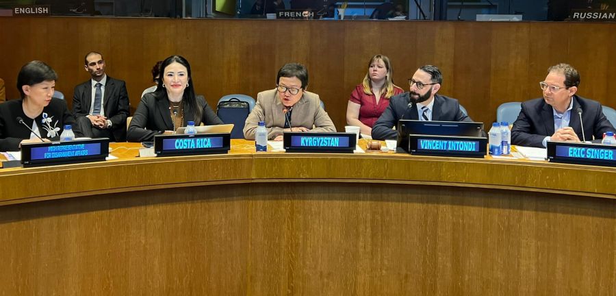 PACs affiliate scholar Vincent Intondi leading UN panel, March 5, 2025