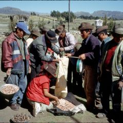 Peruvian people exchanging seeds