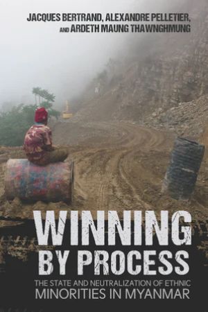 Cover of the book called Winning by Process
