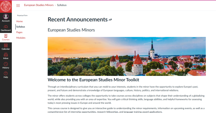 ES minors Canvas homepage