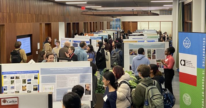 International research showcase.