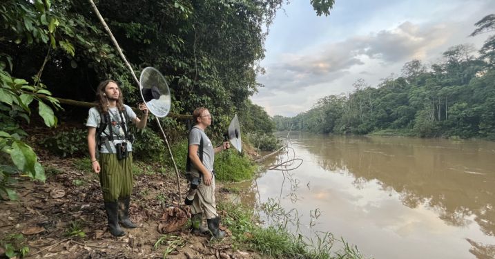 Researchers in the Ecuadorian Amazon use AI-powered acoustic identification to monitor birds as part of a seed grant-funded project. The project is a collaboration between Glenn Seeholzer (Lab of Ornithology, CALS) and Gonzalo Francisco Rivas-Torres (Universidad San Francisco de Quito). 