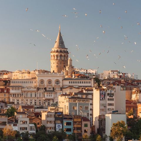 Istanbul, Turkey, with flying birds