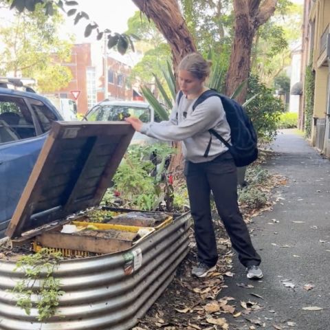 Intern holds up lid on a bench turned into a composting system.