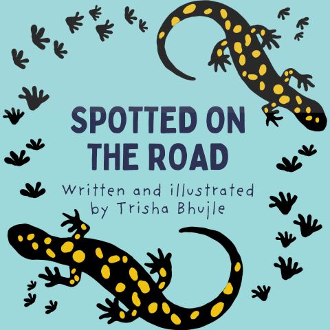 Spotted on the Road, written and illustrated by Trisha Bhujle