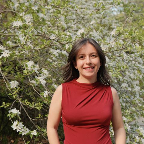 Aysegul Kilinc